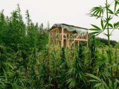 Architektka: „Inwestorzy widzą w nim przyszłość budownictwa”. Dom oddycha, rachunki spadają