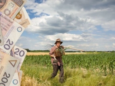 Emeryt z KRUS może kupić ziemię? Wielu rolników się myli