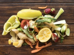 Darmowe pojemniki na bioodpady dla mieszkańców Częstochowy