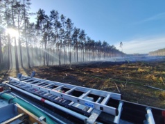 Pożar lasu w powiecie sztumskim. W akcji strażacy i Dromader
