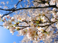 Majówka jak lato, nawet 28 stopni. Ale to, co nadejdzie później, może pokrzyżować plany