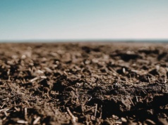 Certyfikaty węglowe w rolnictwie pod znakiem zapytania