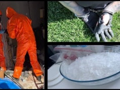 Policja zlikwidowała laboratorium narkotykowe pod Legnicą i zatrzymała pięć osób (FILM)