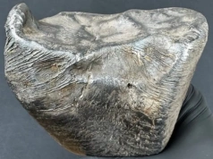 Niesamowite znalezisko pod Łodzią. Z nieba spadło 3 kg kosmicznego żelaza