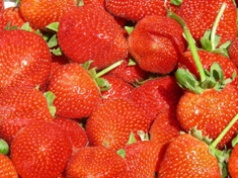 Truskawkowa pułapka: jak rozpoznać polskie owoce i nie dać się nabrać oszustom?