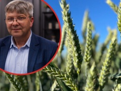 Tański na EEC: Między optymalizacją kosztów a spadkiem plonów. Granica jest cienka