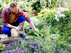 Mazurskie targi ogrodnicze w Olecku. Wystawcy już szykują swoje stoiska