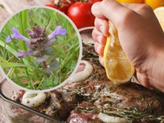 To wszechobecne zioło wspiera trawienie i odtruwa organizm. Wykorzystaj jego prozdrowotne właściwości