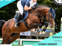 Sportowe emocje, rodzinne atrakcje i wyjątkowa atmosfera w Stadzie Ogierów w Bogusławicach