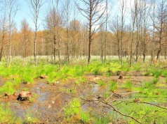 Ważny apel na Podlasiu przed majówką. Ryzyko jest bardzo wysokie