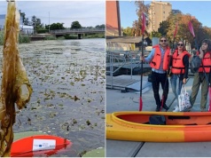 Darmowe spływy kajakowe po Motławie za sprzątanie rzeki. Akcja EkoKajak ma zachęcić do dbania o środowisko