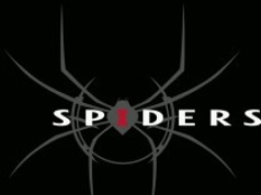 To ostateczny koniec studia Spiders. Na rynku nie zobaczymy już francuskiego drewna z duszą!