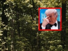 Trump chce znieść jedno prawo. Eksperci jasno się sprzeciwiają