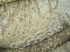 Ktoś wyrzucił na jedną z warszawskich ulic mebel skrajnie skażony pluskwami. "Nie podchodzić i nie dotykać."