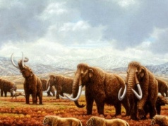 Przyroda poniosła ogromną stratę. Po 10 tys. lat nie może się pozbierać