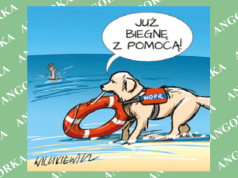 Psy ratownicze świętują swój dzień. Niezastąpione w akcjach poszukiwawczych