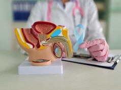 Rak prącia – objawy, diagnostyka, leczenie nowotworów prącia