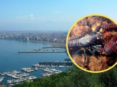 Nietypowy finał akcji ratunkowej. Turystki z USA mogą trafić do więzienia