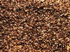 Zamiast pelletu wsypał to do pieca. Rachunki spadły o 30%