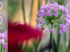 Informacje kulturalne, wydarzenia: 29 kwietnia – 5 maja