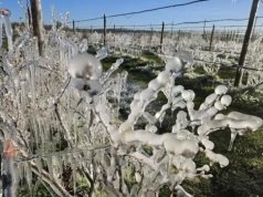 To może być jedna z najzimniejszych nocy tej wiosny. Lokalnie nawet -8°C