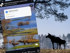 "Stasznie głośne" i "za dużo bagien". Podlasie odpowiada krytykom. "Skandal"