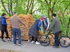 Ostatni dzień darmowych warzyw w Krakowie (Galeria)