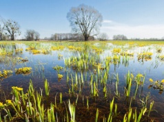 Stan ekologiczny w zmieniającym się klimacie – raport JRC