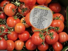 Poszedł do warzywniaka w Warszawie. Pomidory za 140 zł za kilogram