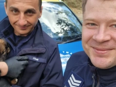 Łosiccy policjanci uratowali pięć maleńkich szczeniąt porzuconych w lesie