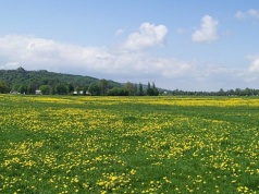 2 maja na Błoniach w Krakowie. Kontur Polski z tysięcy biało-czerwonych flag. Doda zaśpiewa hymn państwowy