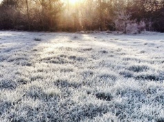 Alert pogodowy dla Nowego Sącza i Sądecczyzny! W nocy temperatura może spaść nawet do -12°C przy gruncie