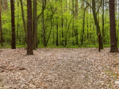 Zagrożenie pożarowe w lasach. Ogłoszono najwyższy stopień