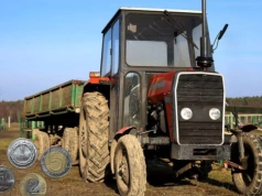 Ponad 80 ha do wzięcia. KOWR wystawił ziemię – jest haczyk