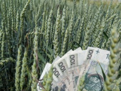 Do kiedy można złożyć wniosek o dopłaty? Minister wydłużył termin