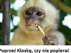 Prof. Romuald Szeremietiew: Dylemat małpki!