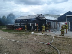 Zakład stolarski stanął w płomieniach. Z pożarem walczyło blisko 30 strażaków