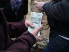 Praca za 20 000 złotych miesięcznie. Proste obowiązki i stabilne warunki