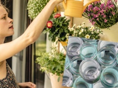 Całą zimę zbieram słoiki. Dzięki nim nie muszę podlewać roślin w lecie