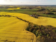 Dopłaty 2026: rolnicy dostali więcej czasu. Wnioski obszarowe można składać do 1 czerwca