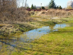 Woda poszła do sąsiada przez twoją działkę? To może skończyć się kosztowną rozbiórką