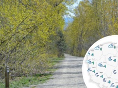 Nowy dzień po nocy ciężkich przymrozków. Duże różnice temperatur. Gdzie będzie najcieplej?