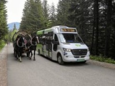 Elektryczne busy wracają na trasę do Morskiego Oka. Oto ceny biletów