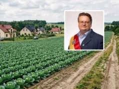 "Hacjendy w polu kapusty". Radny Suligowski kpi z mieszkańców Iwin, burmistrz ostro odpowiada