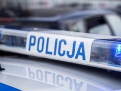 Świdnik. Koty odkręciły kurek… i lawinę zdarzeń