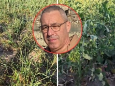 „Rzepak umiera na naszych oczach”. Jest pilny apel do wojewody