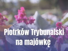 Majówka w Piotrkowie Trybunalskim. Sprawdź, gdzie spędzić weekend!