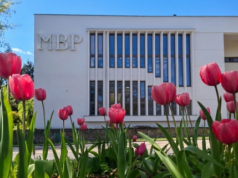 Od „Tunelu” do „Floren”. Magdalena Parys w konińskiej bibliotece