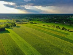 Państwo zablokowało sprzedaż ziemi rolnej. Rolnicy dostaną więcej czasu i prostsze zasady