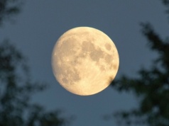 Dwie pełnie Księżyca w maju 2026. Kwiatowy i Niebieski Księżyc